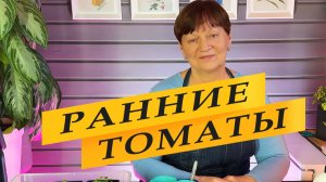 Томаты - урожай уже в мае.