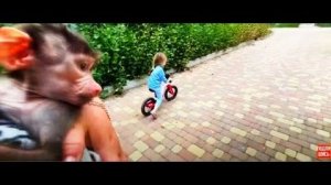 У нас не осталось вариантов, Люсе ОТКАЗАЛИ  в необходимой помощи! Надежда только на «ЗооДоктор»!