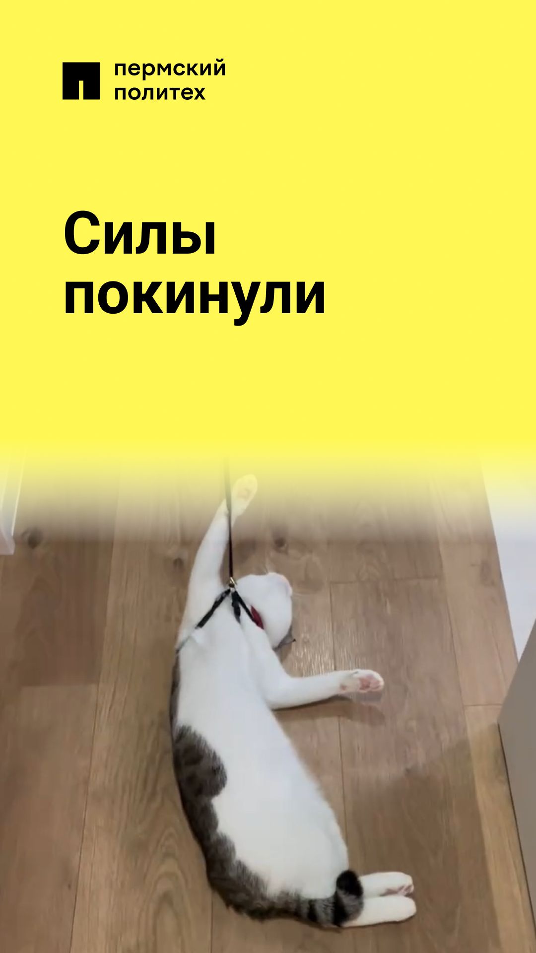 Это был тяжелый путь смотреть онлайн