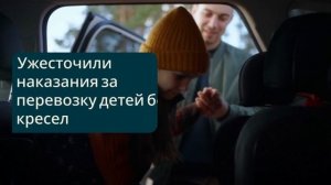 ПДД — новые поправки и на что смотреть водителю ⚖️🚦