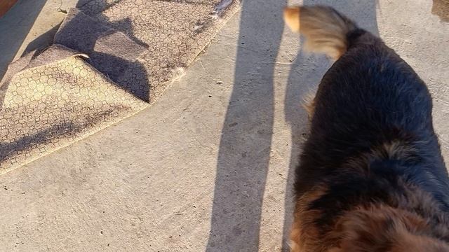 Люся смотреть онлайн