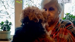 Я-собачник,Собака-друг.I-2026