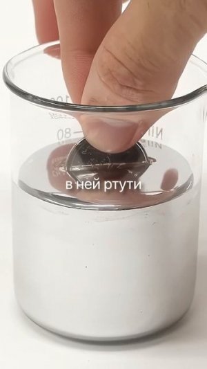 Королевская макрель, тунец и морской окунь — лидеры по содержанию вредных веществ.