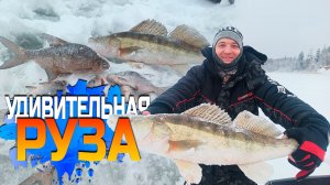 Эта удивительная Руза!