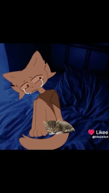 котики Хорошие доктора 😊 смотреть онлайн