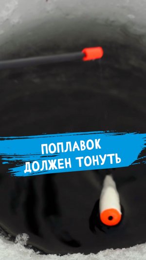 Такое положение ИДЕАЛЬНО покажет поклёвку #dunaevmedia #рыбалка