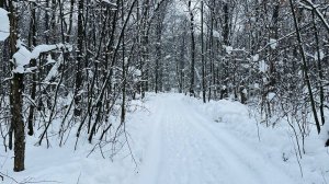 Вдоль Демского шоссе появится новая тропа «Уфимского ожерелья»