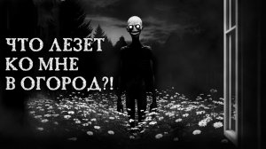 ЧТО ЛЕЗЕТ КО МНЕ В ОГОРОД?! Страшные истории на ночь. Страшилки на ночь.