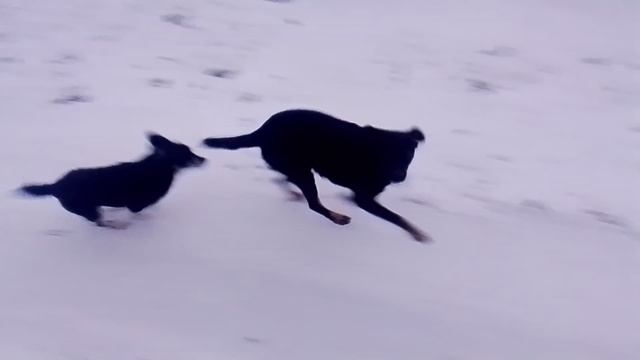 VID_20251230_075107 смотреть онлайн