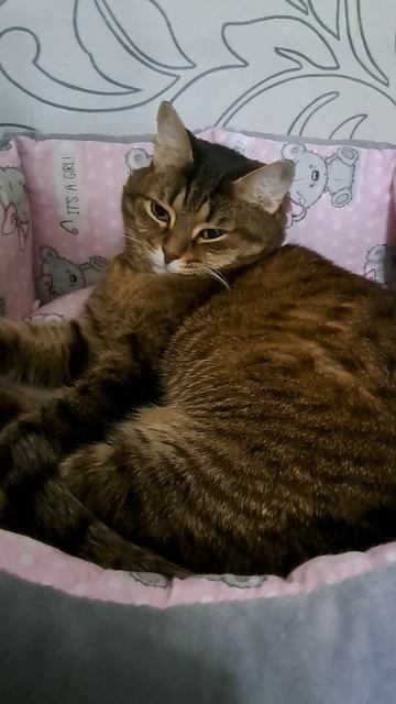 Живу как бомж)))😁😁😁 смотреть онлайн