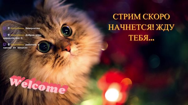 Styx: Master of Shadows