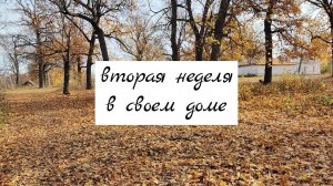 Вторая неделя, как мы переехали из города в деревню. Вырубили весь виноград. Придется делать септик.