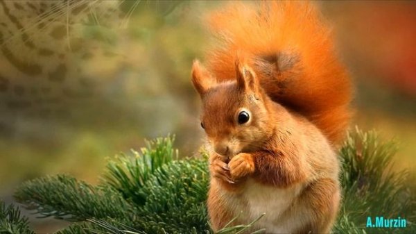 Moments Of Life 265 (Guitar - Chill Mix)