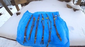 Распаковка посылки с черенками винограда от Юрия Ефремова