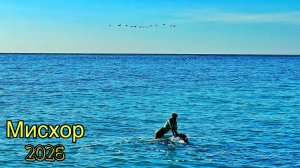 Крым. Мисхор — что с парком? Мисхорский парк реконструкция, пляжи. Пляж Русалка. Отдых в Крыму 2026