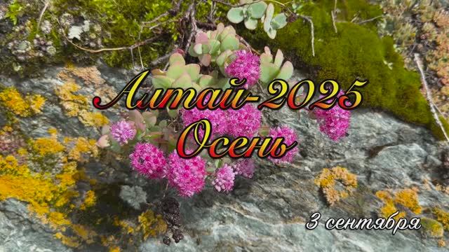 Алтай-25_3 сентября смотреть онлайн
