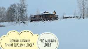 Опять лось в Совиный Дол приходил, а мы не видели. Следы на снегу: горностай, птиченьки, лось