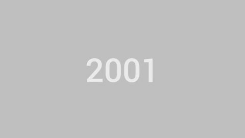2001г., Первый Международный FDM Конгресс в Бангоре.