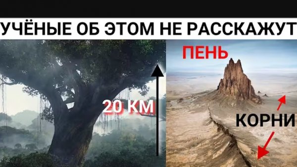 Уничтоженный на Земле Эдемский сад с мега гигантскими деревьями до небес.👆🧐😲