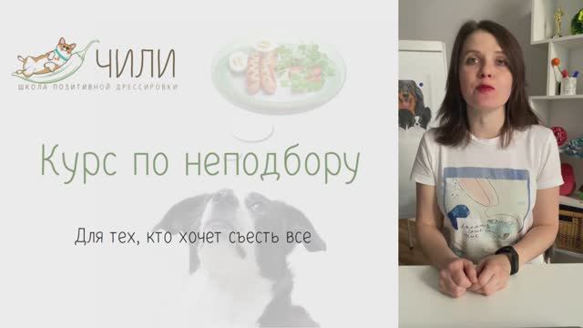 0 этап Как проходит курс