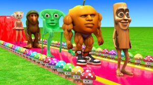 МУЛЬТИКИ ДЛЯ ДЕТЕЙ И МАЛЫШЕЙ. ПРО ГОРИЛЛУ, ЛЬВА И ДРУГИХ