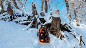 Строительство скрытой землянки под пнём.