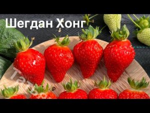 Шегдан Хонг‼️ Восхитительный вкус‼️‼️‼️