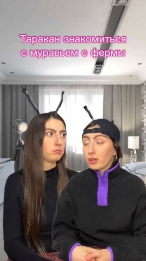 Ваш любимый таракан снова в деле 😎🪳