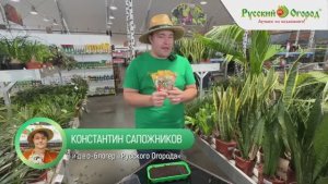 Как разбудить семена: два способа стратификации на практике.