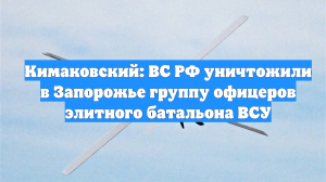 Кимаковский: ВС РФ уничтожили в Запорожье группу офицеров элитного батальона ВСУ