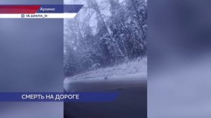 В ДТП под Арзамасом погибли 3 сотрудника Корпорации развития промышленности и предпринимательства