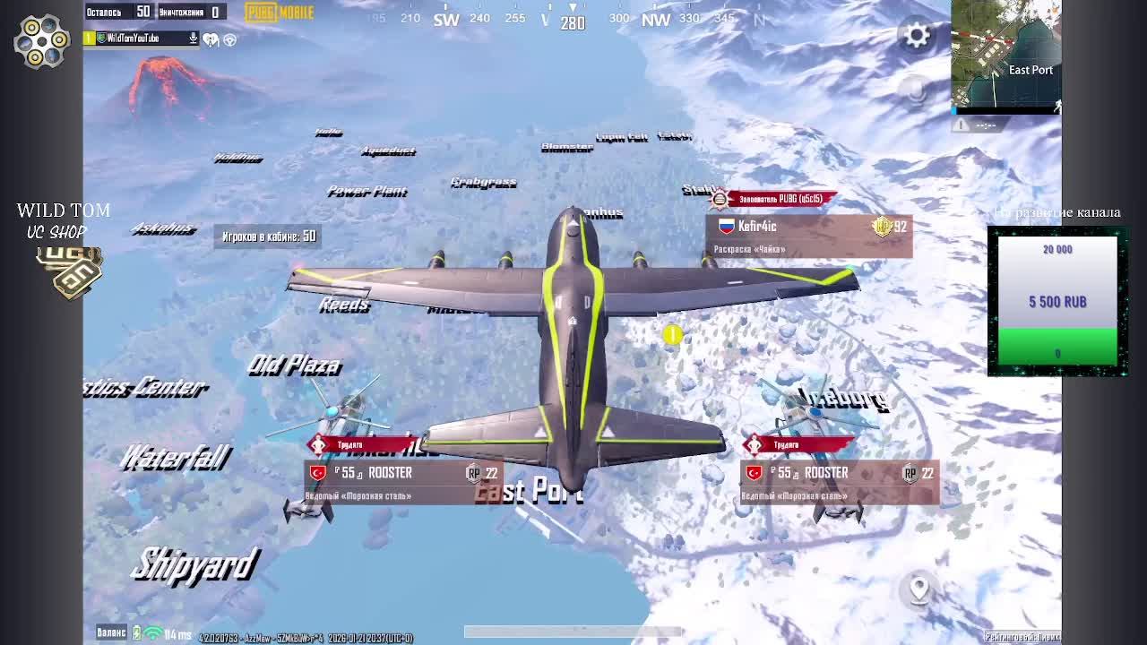 LIVE: WildTom_YouTube