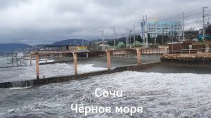 И снова море. И снова Сочи.