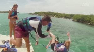 America′s Funniest Home Videos. If You Laugh, You Lose 😆 Try Not to Laugh Challenge