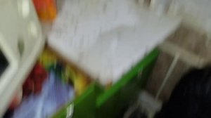 Пример очаговой квартиры. Результат ее обработки от тараканов