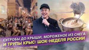 Арктический апокалипсис для крыс, БМВ и Porsche: 5 доказательств, что мы живёт в другой реальности