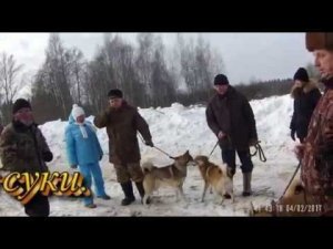 Мл. гр. ЗСЛ Солнечногорская зимняя выставка