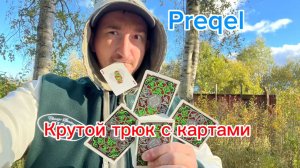 PREQEL обучение кардистри для начинающих