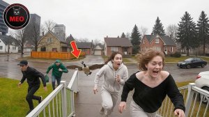 Невероятные моменты, запечатленные на камеру