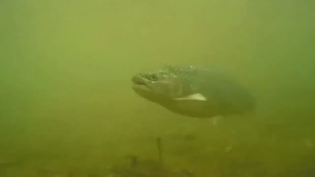 25.09.21 Рыбалочка в Юсупово смотреть онлайн