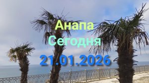 Анапа Сегодня 21.01.2026