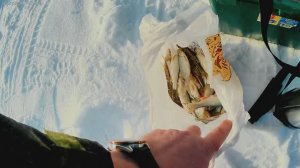 За Ельчиком в протоки р. Селенга