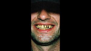 ВЕРБОВКА К.О.Н.Т.У.Р. "Записи об аномалиях от К.О.Н.Т.У.Р." ЗАПИСЬ 105.