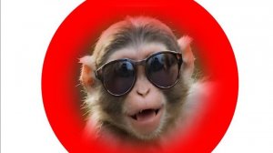 Кузя + Лодка =палата №6