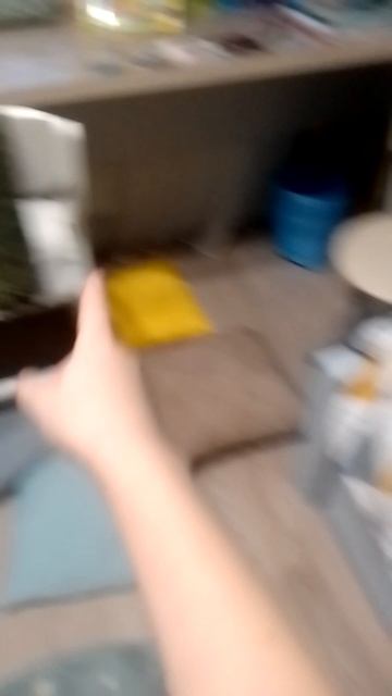 VID_20260121_164516