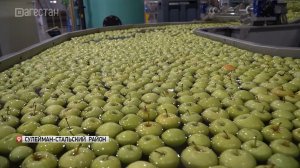 В Дагестане ведены в эксплуатацию плодоовощехранилища, общей мощностью более 30 тыс. тонн