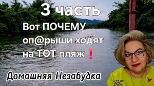 Вот ПОЧЕМУ оп@рыши ходят на ТОТ 🌴 🏖 пляж❗️