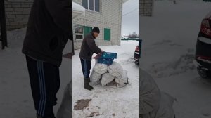 Деревенские будни.