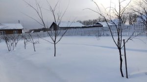 Зимний обзор.mp4