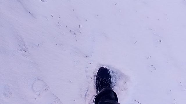 VID_20251230_092329 смотреть онлайн